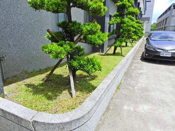 宜蘭園藝專家 五結利澤工業區廠區園藝維護.冬山建案園藝維護
