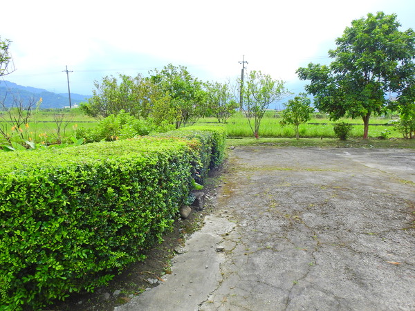 宜蘭園藝專家 宜蘭園藝 芊翠園藝 翠庭園藝 三星傳統農舍園藝固定維護