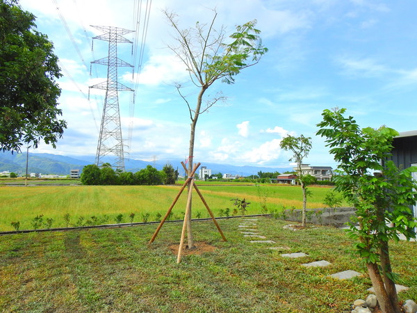 宜蘭園藝專家 芊翠園藝 翠庭園藝 三星上將路三段 微觀藝術 新廠庭園景觀園藝造景工程