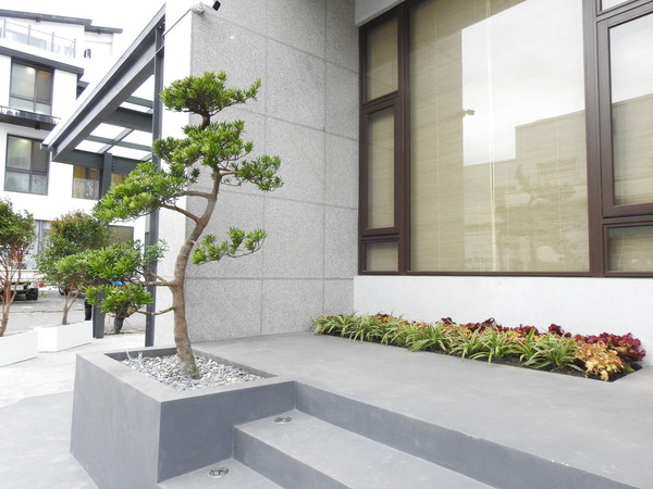 宜蘭園藝專家 芊翠園藝 翠庭園藝 頭城園藝造景工程